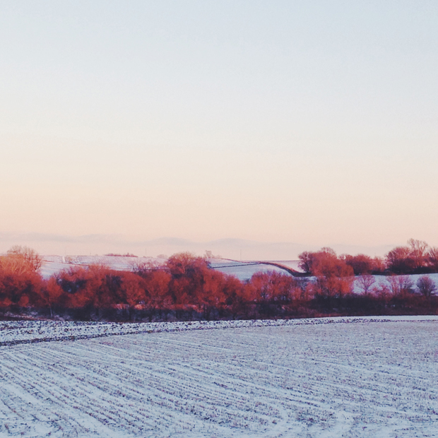 Nebraska Landscape | Sarah McDonald