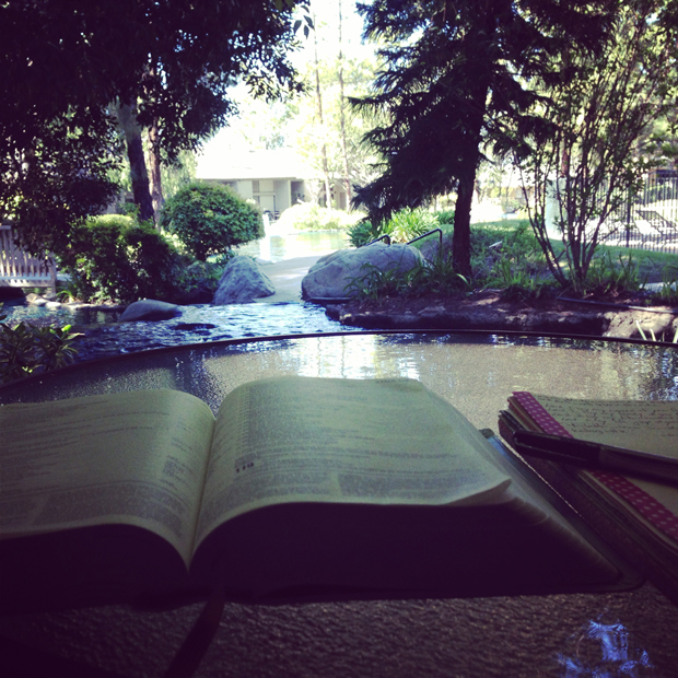 Bible study | Sarah McDonald