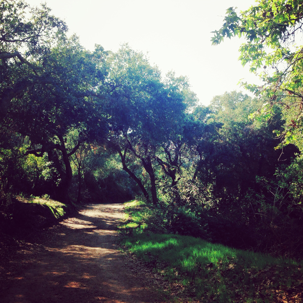 Hiking Turnboll Canyon | Sarah McDonald