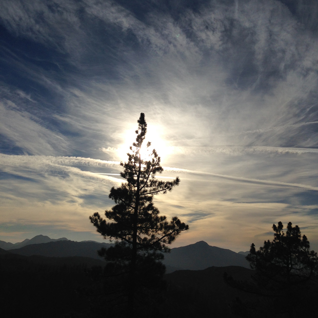 Chilao Campground, Angeles National Forest, California | Sarah McDonald