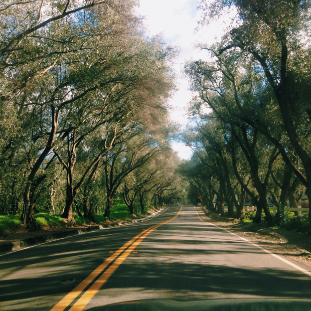 Santiago Canyon backroads | Sarah McDonald