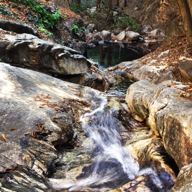 Hiking Chantry Flats, Sierra Madre, California | Sarah McDonald