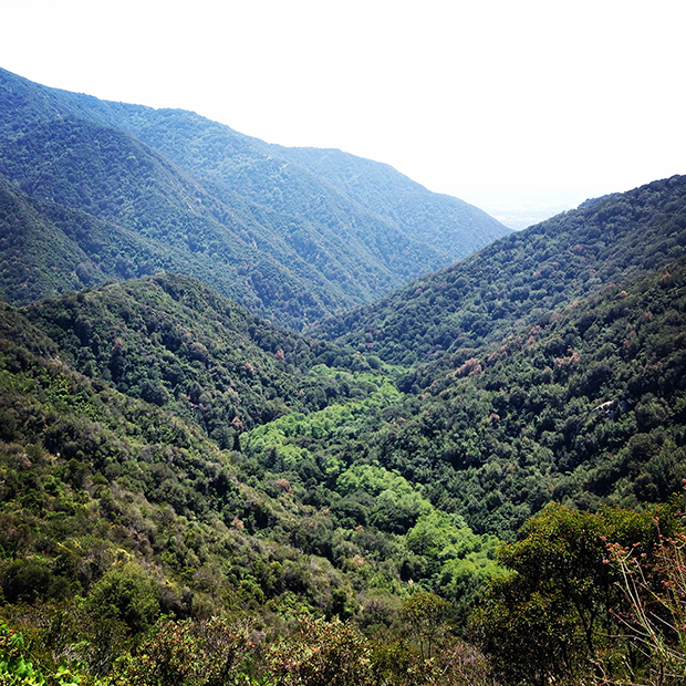 Hiking Angeles National Forest, California | Sarah McDonald