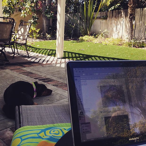 Backyard Office | Sarah McDonald