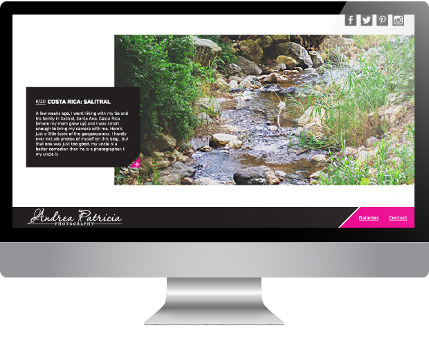 Andrea Patricia Website | Designed by: Sarah McDonald