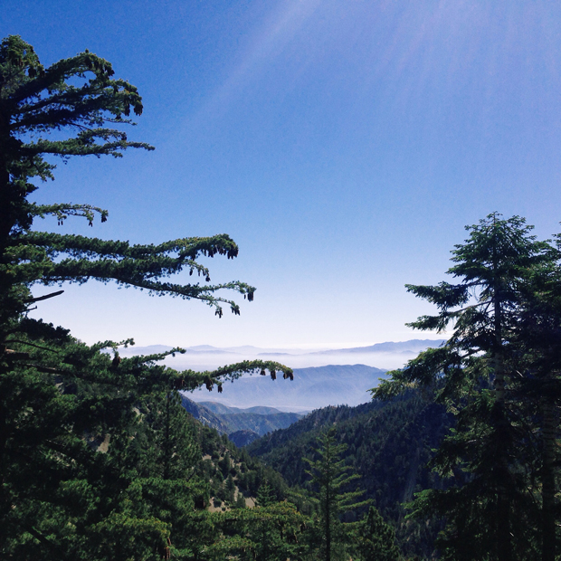 Cucamonga Peak Hike, California | Sarah McDonald