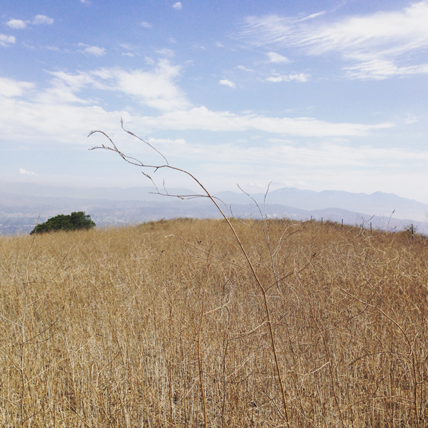 Weir Canyon Hike, California | Sarah McDonald