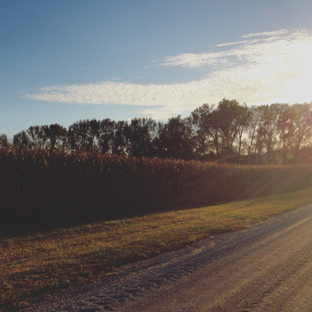 Sunset in Springfield, Nebraska | Sarah McDonald