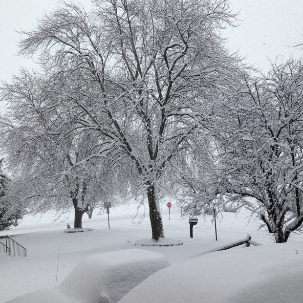 Christmas Eve Omaha | Sarah McDonald